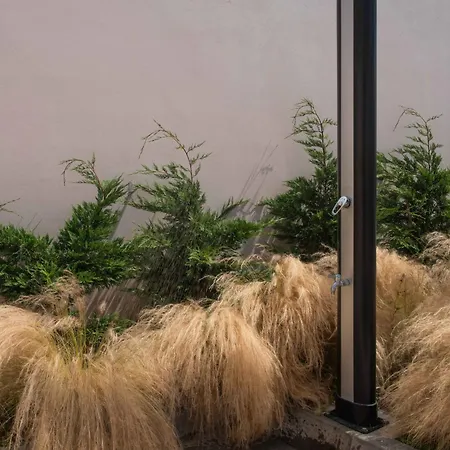 Marta - Estorninho Vila Franca do Campo