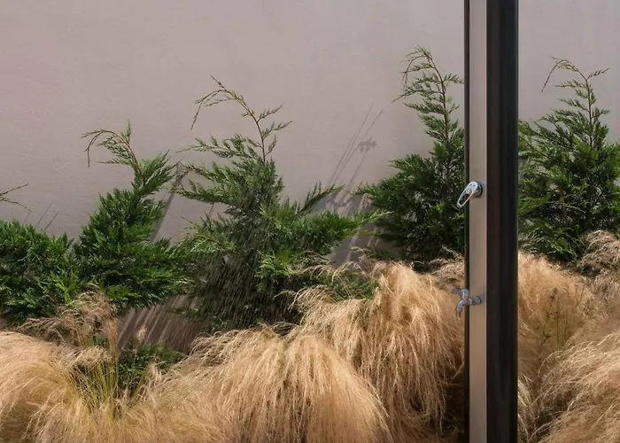 Marta - Estorninho ヴィラ・フランカ・ド・カンポ