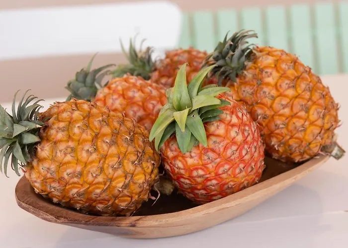 Marta - Estorninho דירה